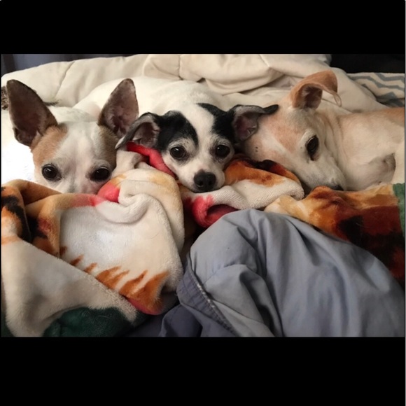 Meet your Posher, Deana - Picture 2 of 16